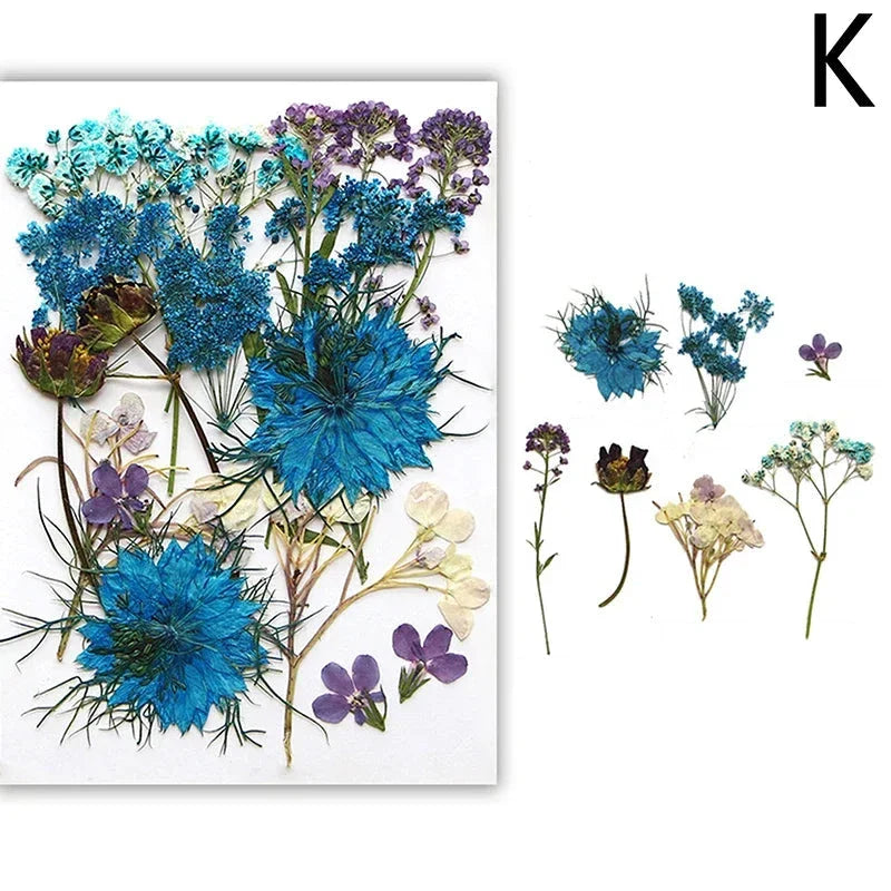 For Fun DIY Embossed Dried Flower Resin Fillings Real Flower for Home Decoration Nail Art Handicrafts Jewelry Making Crafts