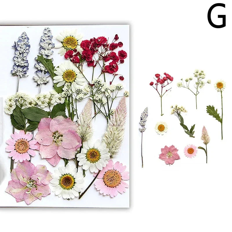 For Fun DIY Embossed Dried Flower Resin Fillings Real Flower for Home Decoration Nail Art Handicrafts Jewelry Making Crafts