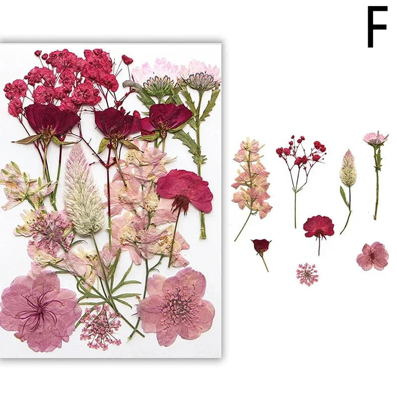 For Fun DIY Embossed Dried Flower Resin Fillings Real Flower for Home Decoration Nail Art Handicrafts Jewelry Making Crafts