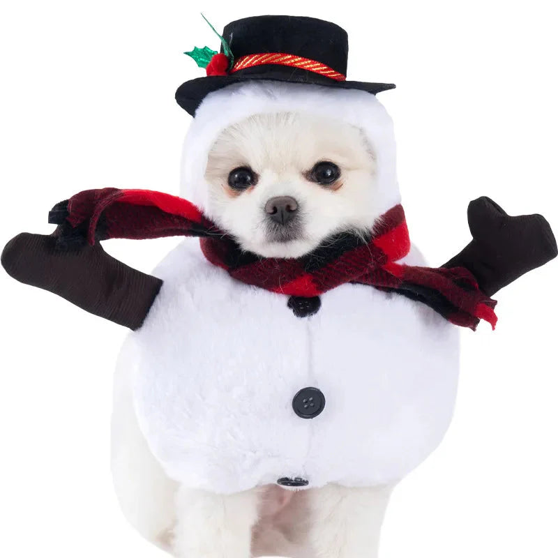 Halloween Dagger Pet Costume - Funny Knife-Holding Dog & Cat Standing Dress for Festival Dress-Up