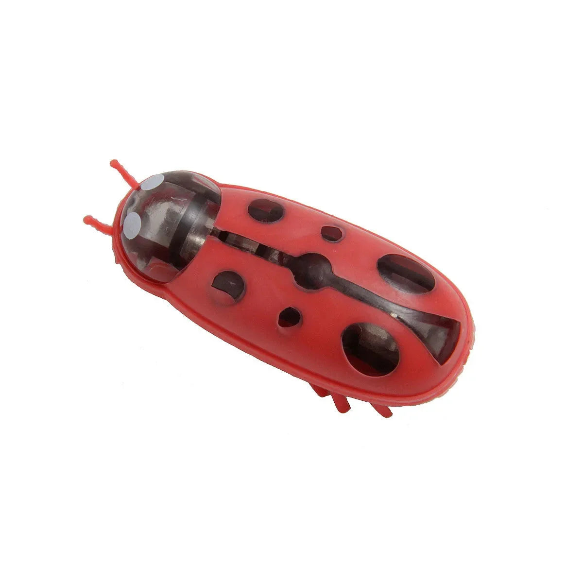 Interactive Mini Electric Bug Cat Toy – Battery Operated Flip Beetle