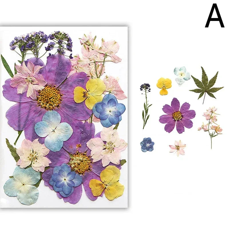 For Fun DIY Embossed Dried Flower Resin Fillings Real Flower for Home Decoration Nail Art Handicrafts Jewelry Making Crafts