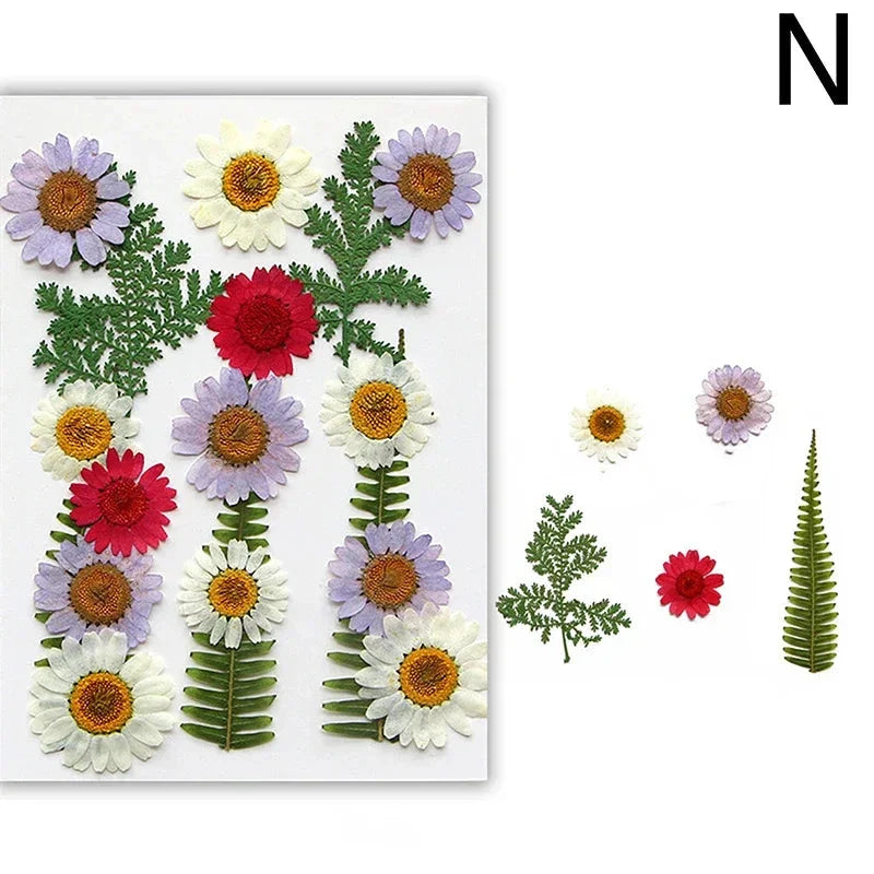 For Fun DIY Embossed Dried Flower Resin Fillings Real Flower for Home Decoration Nail Art Handicrafts Jewelry Making Crafts