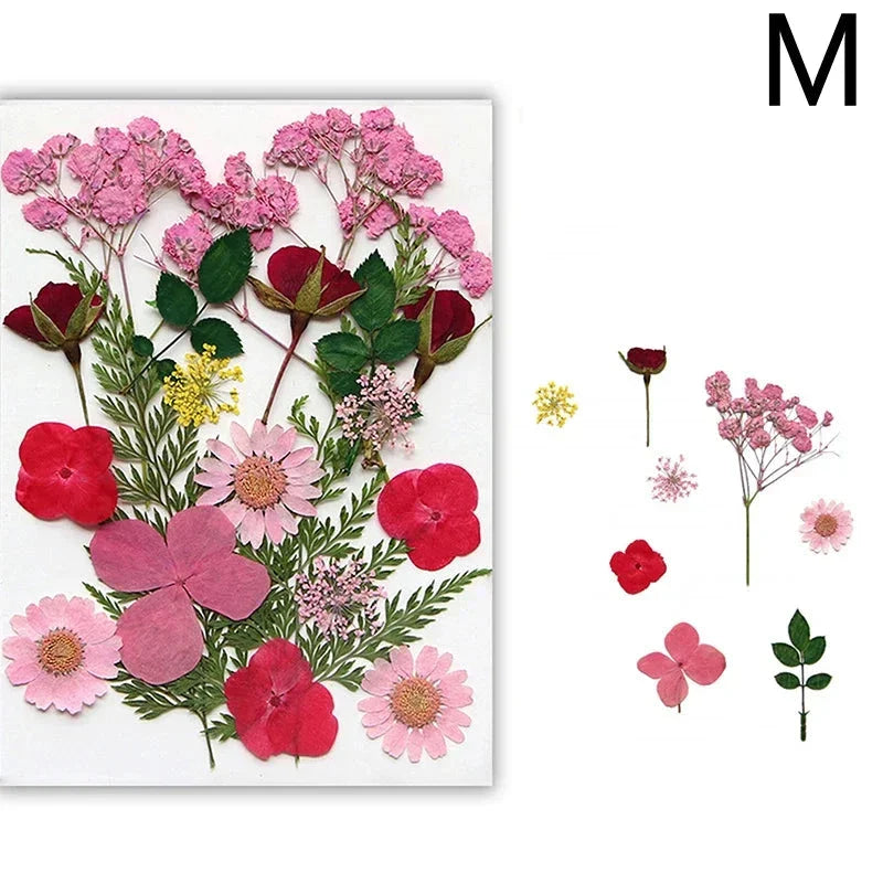 For Fun DIY Embossed Dried Flower Resin Fillings Real Flower for Home Decoration Nail Art Handicrafts Jewelry Making Crafts
