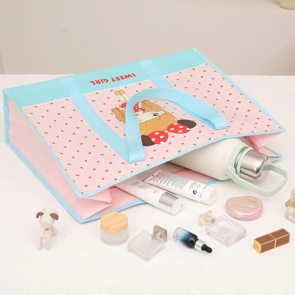 Non-woven Quilt Storage Bag